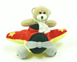 Plush Bear in Airplane