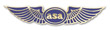 ASA Lapel Pin Wings
